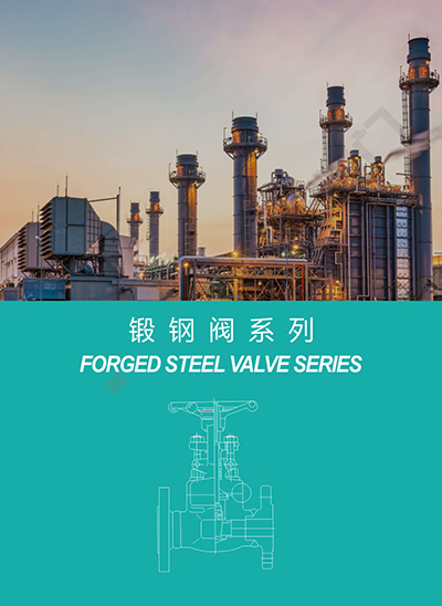 锻钢阀系列